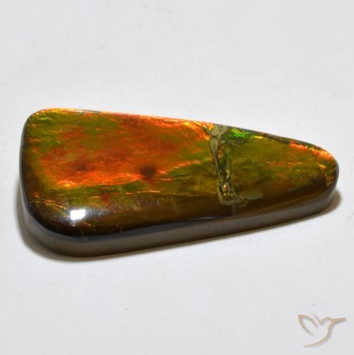 Ammolite Multicolore naturale da 23.02 ct, Taglio a fantasia, Opaco