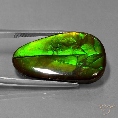 21.60ct Naturale Multicolore Ammolite, Taglio a fantasia, Opaco