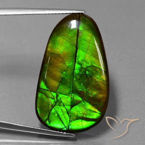 Ammolite Multicolore naturale da 21.60 ct, Taglio a fantasia, Opaco