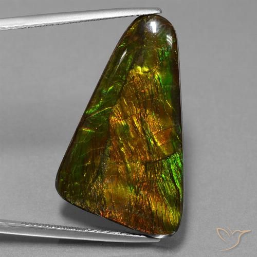 23.06ct Naturale Multicolore Ammolite, Taglio a fantasia, Opaco