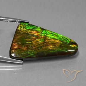 Ammolite Multicolore naturale da 23.06 ct, Taglio a fantasia, Opaco