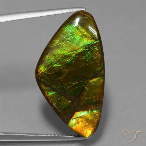 18.77ct Naturale Multicolore Ammolite, Taglio a fantasia, Opaco
