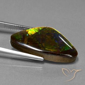 Ammolite Multicolore naturale da 18.77 ct, Taglio a fantasia, Opaco