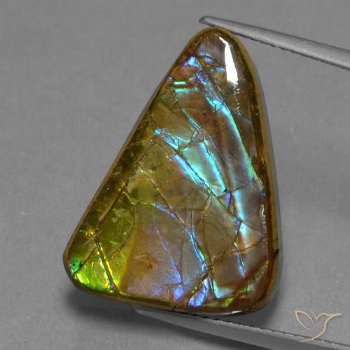 13.18ct Naturale Multicolore Ammolite, Taglio trillion, Opaco