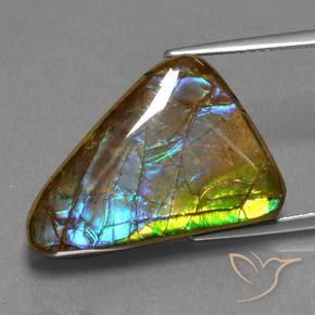 Ammolite Multicolore naturale da 13.18 ct, Taglio trillion, Opaco