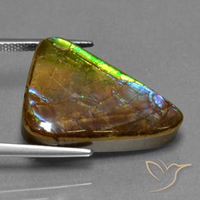 Ammolite Multicolore naturale da 13.18 ct, Taglio trillion, Opaco