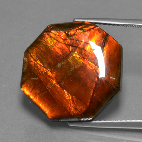 Ammolite multicolore naturale da 13,98 ct, taglio smeraldo, opaco