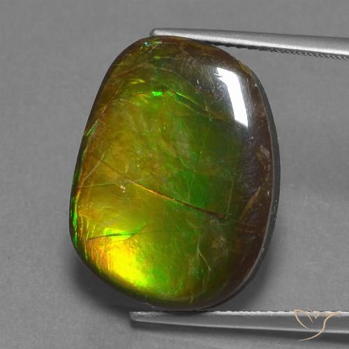 14.13ct Naturale Multicolore Ammolite, Taglio a fantasia, Opaco