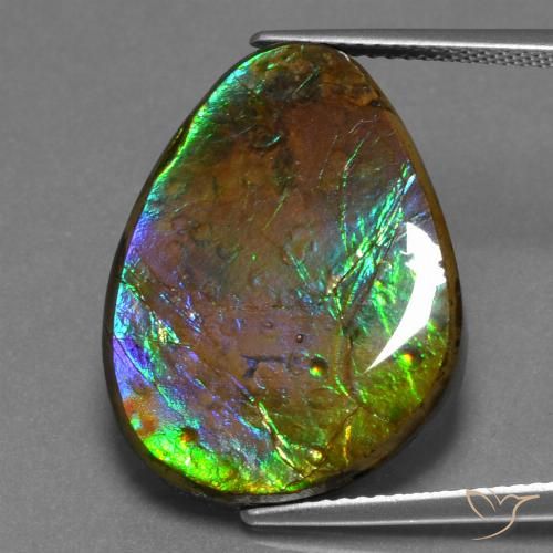 17.46ct Naturale Multicolore Ammolite, Taglio a fantasia, Opaco