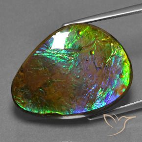 Ammolite Multicolore naturale da 17.46 ct, Taglio a fantasia, Opaco