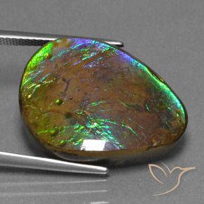 Ammolite Multicolore naturale da 17.46 ct, Taglio a fantasia, Opaco