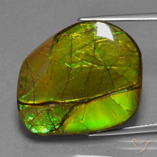 21.26ct Naturale Multicolore Ammolite, Taglio a fantasia, Opaco