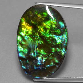 Ammolite Multicolore naturale da 20.31 ct, Forma fantasia, Opaco