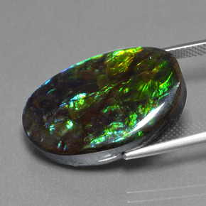 Ammolite Multicolore naturale da 20.31 ct, Forma fantasia, Opaco