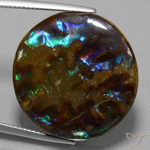 27.20ct Naturale Multicolore Ammolite, Rotondo, Opaco