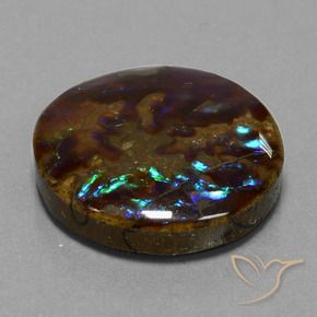 Ammolite Multicolore naturale da 27.20 ct, Rotondo, Opaco