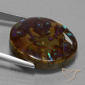 Ammolite Multicolore naturale da 27.20 ct, Rotondo, Opaco