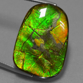 Ammolite Multicolore naturale da 24.20 ct, Forma fantasia, Opaco
