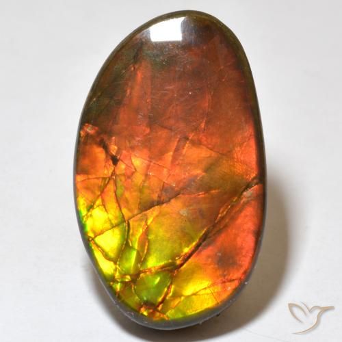 21.93ct Naturale Multicolore Ammolite, Taglio a fantasia, Opaco
