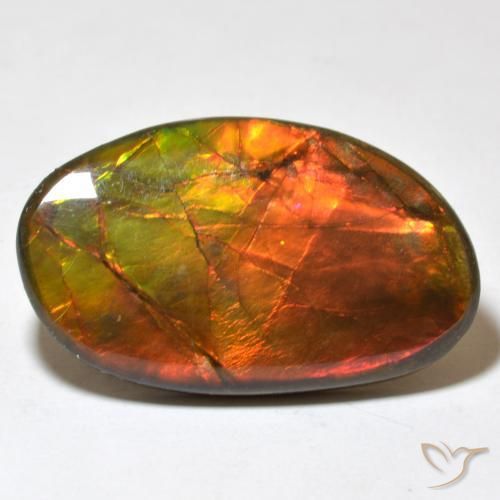 Ammolite Multicolore naturale da 21.93 ct, Taglio a fantasia, Opaco