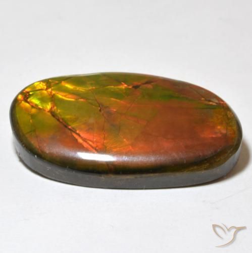 Ammolite Multicolore naturale da 21.93 ct, Taglio a fantasia, Opaco