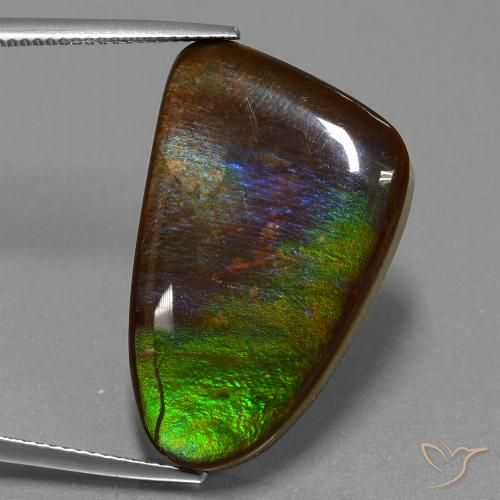 22.78ct Naturale Multicolore Ammolite, Taglio a fantasia, Opaco