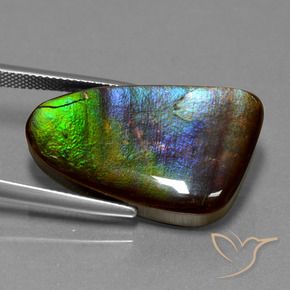 Ammolite Multicolore naturale da 22.78 ct, Taglio a fantasia, Opaco
