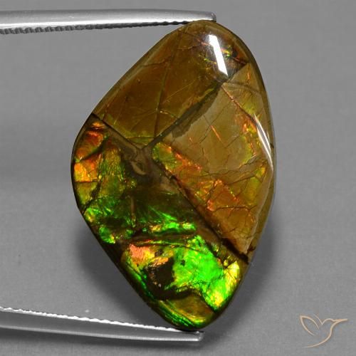 18.98ct Naturale Multicolore Ammolite, Taglio a fantasia, Opaco