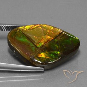 Ammolite Multicolore naturale da 18.98 ct, Taglio a fantasia, Opaco