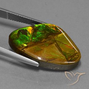 Ammolite Multicolore naturale da 18.98 ct, Taglio a fantasia, Opaco