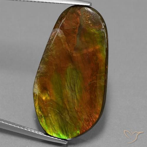 18.71ct Naturale Multicolore Ammolite, Taglio a fantasia, Opaco