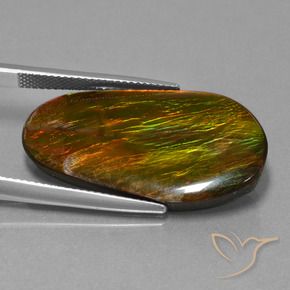 Ammolite Multicolore naturale da 18.71 ct, Taglio a fantasia, Opaco