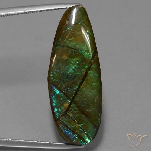 14.36ct Naturale Multicolore Ammolite, Taglio a fantasia, Opaco