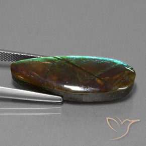 Ammolite Multicolore naturale da 14.36 ct, Taglio a fantasia, Opaco
