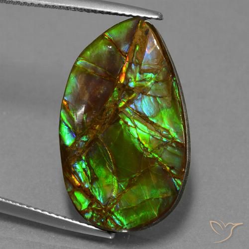 18.19ct Naturale Multicolore Ammolite, Taglio a fantasia, Opaco
