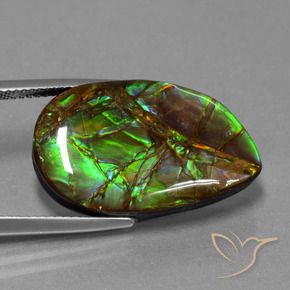 Ammolite Multicolore naturale da 18.19 ct, Taglio a fantasia, Opaco