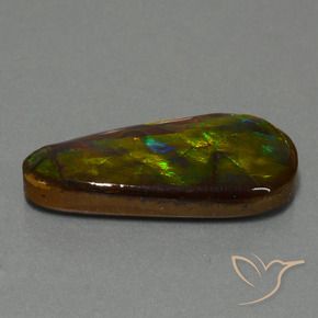 Ammolite Multicolore naturale da 21.09 ct, Taglio a fantasia, Opaco