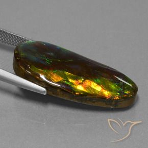 Ammolite Multicolore naturale da 21.09 ct, Taglio a fantasia, Opaco