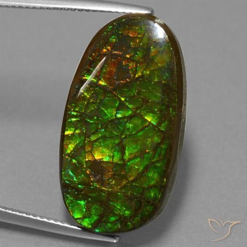21.50ct Naturale Multicolore Ammolite, Taglio a fantasia, Opaco