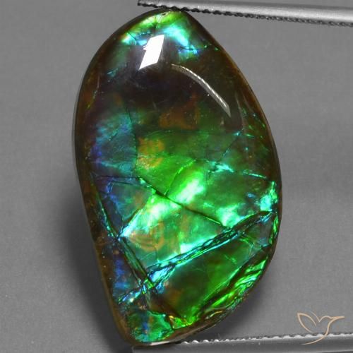 17.95ct Naturale Multicolore Ammolite, Taglio a fantasia, Opaco