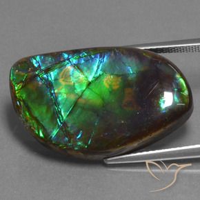 Ammolite Multicolore naturale da 17.95 ct, Taglio a fantasia, Opaco