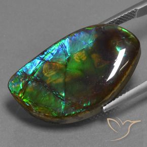 Ammolite Multicolore naturale da 17.95 ct, Taglio a fantasia, Opaco