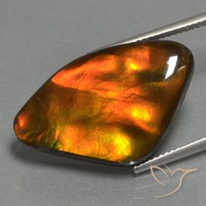 Ammolite Multicolore naturale da 17.24 ct, Taglio a fantasia, Opaco