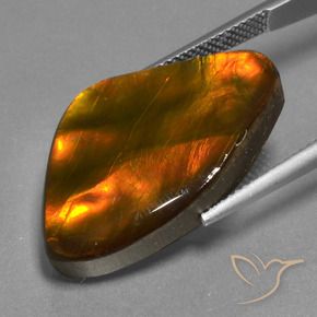 Ammolite Multicolore naturale da 17.24 ct, Taglio a fantasia, Opaco