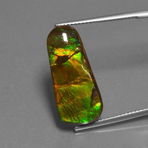 Ammolite naturale multicolore da 11,73 ct, forma fantasia, opaco