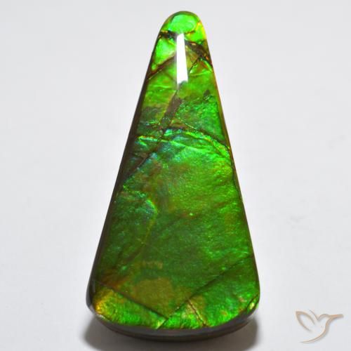 15.83ct Naturale Multicolore Ammolite, Taglio trillion, Opaco