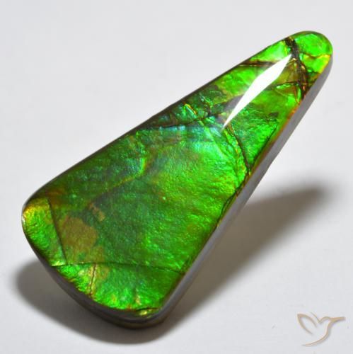 Ammolite Multicolore naturale da 15.83 ct, Taglio trillion, Opaco