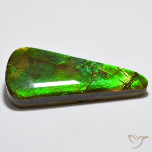 Ammolite Multicolore naturale da 15.83 ct, Taglio trillion, Opaco