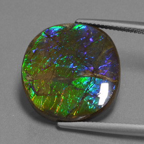 Ammolite naturale multicolore da 16,73 ct, taglio ovale, opaco