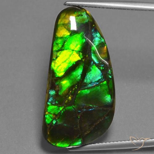 23.45ct Naturale Multicolore Ammolite, Taglio a fantasia, Opaco